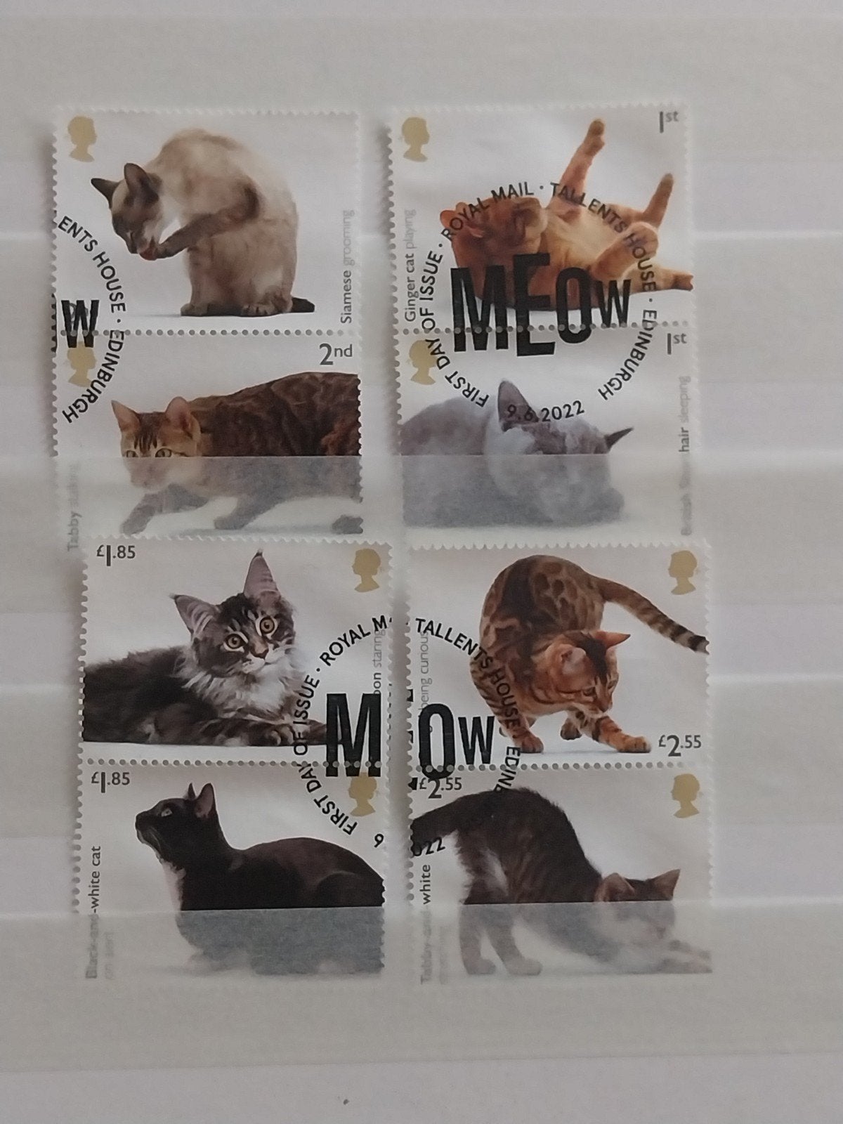 Engeland serie katten 2022 gestempeld, Ophalen of Verzenden, Dier of Natuur
