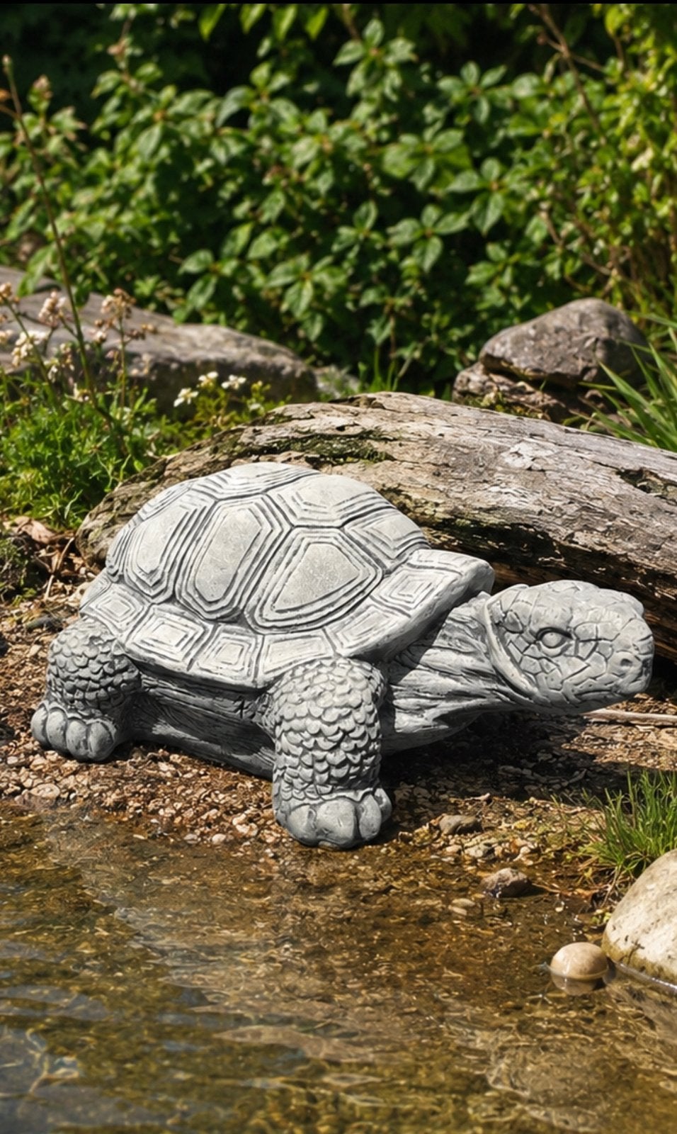 ‼️XL reuzenschildpad 70kg schildpad reptiel voor de vijver‼️, Tuin en Terras, Ophalen of Verzenden, Nieuw, Beton, Dierenbeeld