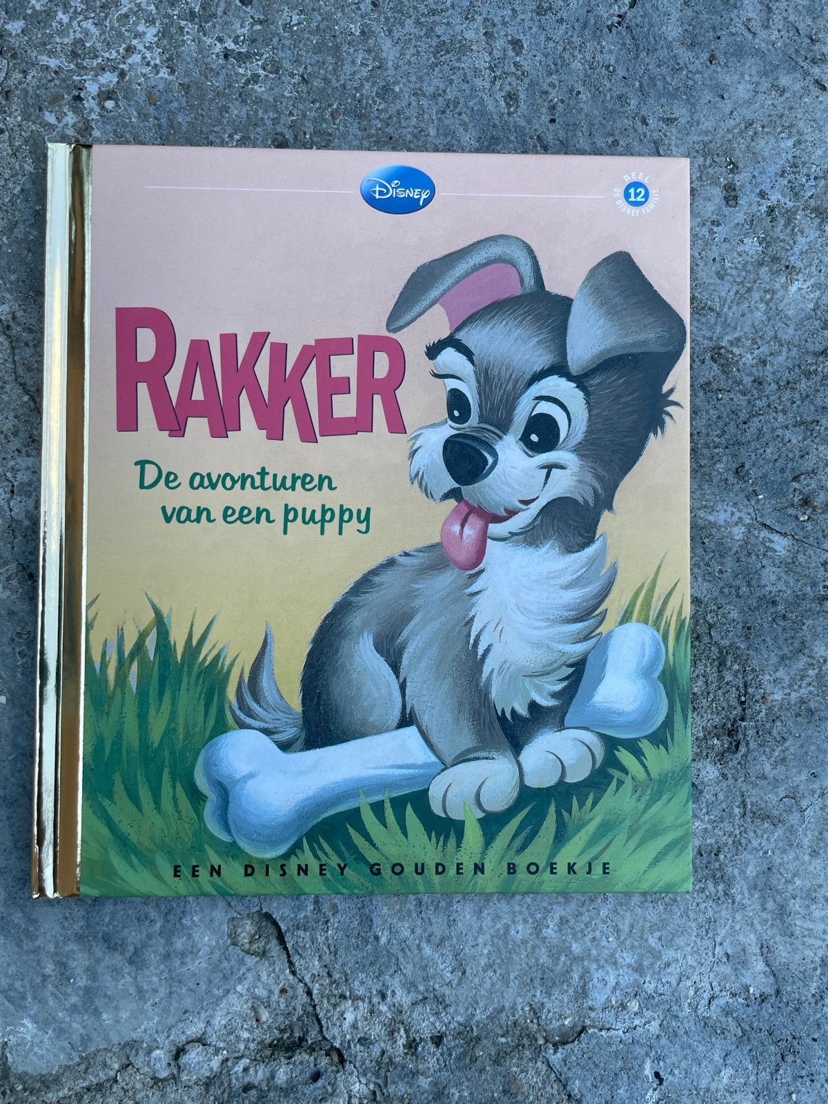 Rakker: De avonturen van een puppy - Disney Gouden Boekje, Ophalen of Verzenden, Zo goed als nieuw, Fictie algemeen