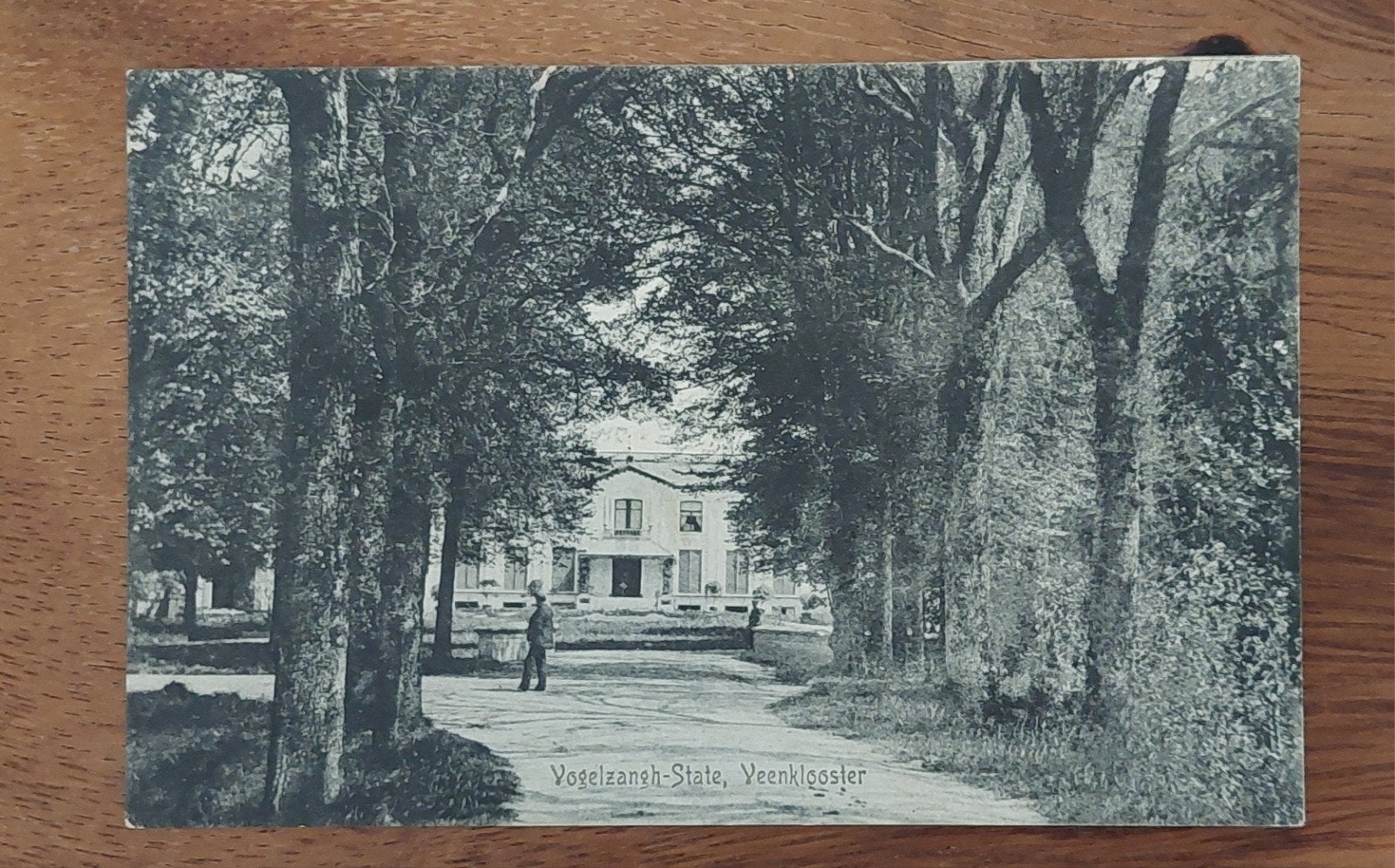 Ansichtkaart Veenklooster. Vogelzangh- State., Ophalen of Verzenden, Voor 1920, Gelopen, Friesland