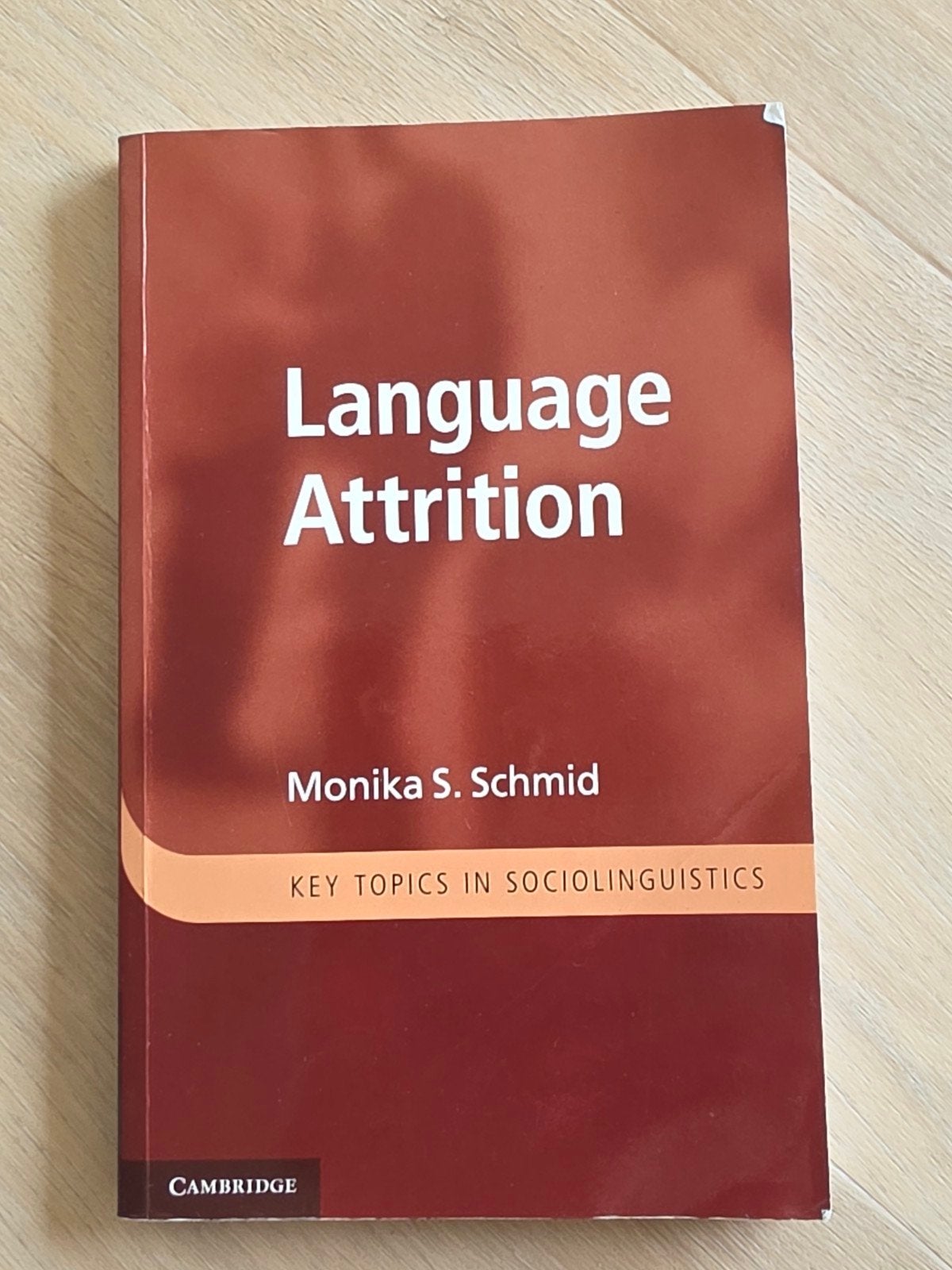 Language Attrition - Monika S. Schmid (Cambridge), Boeken, Taal | Overige Talen, Non-fictie, Monika S. Schmid, Ophalen of Verzenden