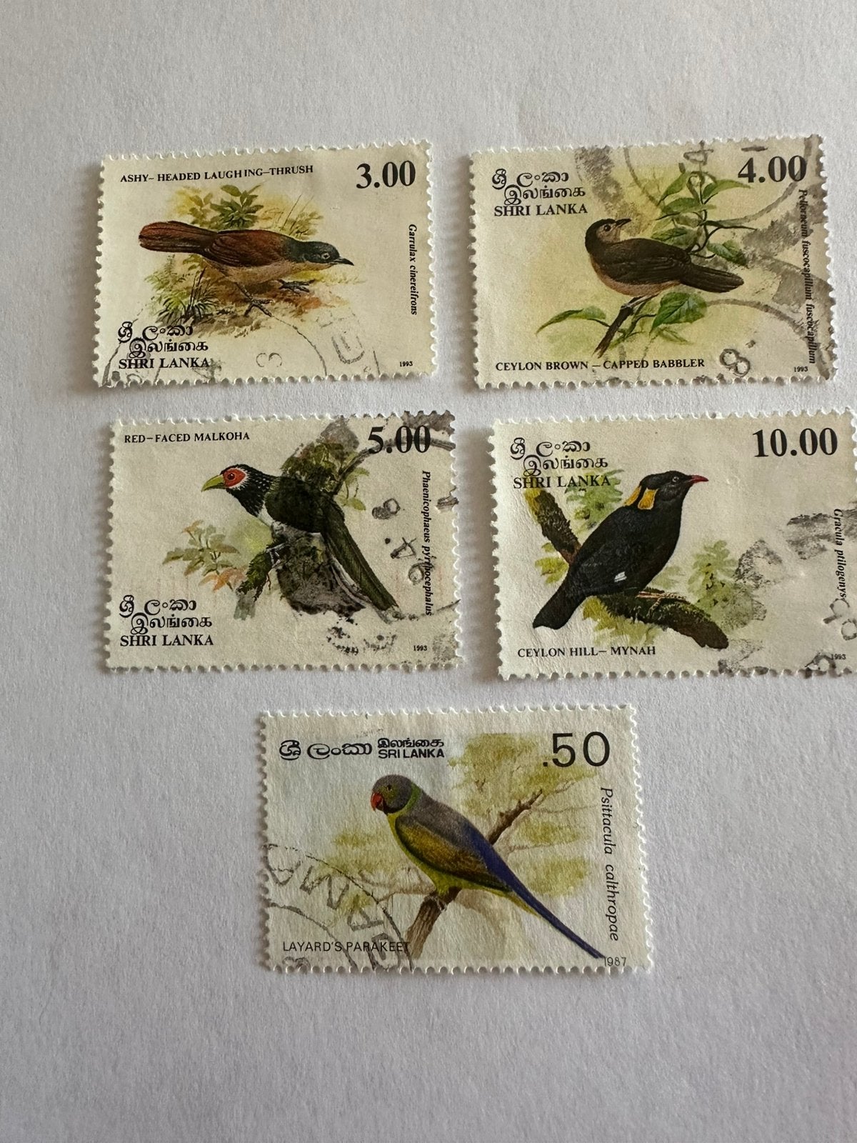Serie vogels, Ophalen of Verzenden, Dier of Natuur