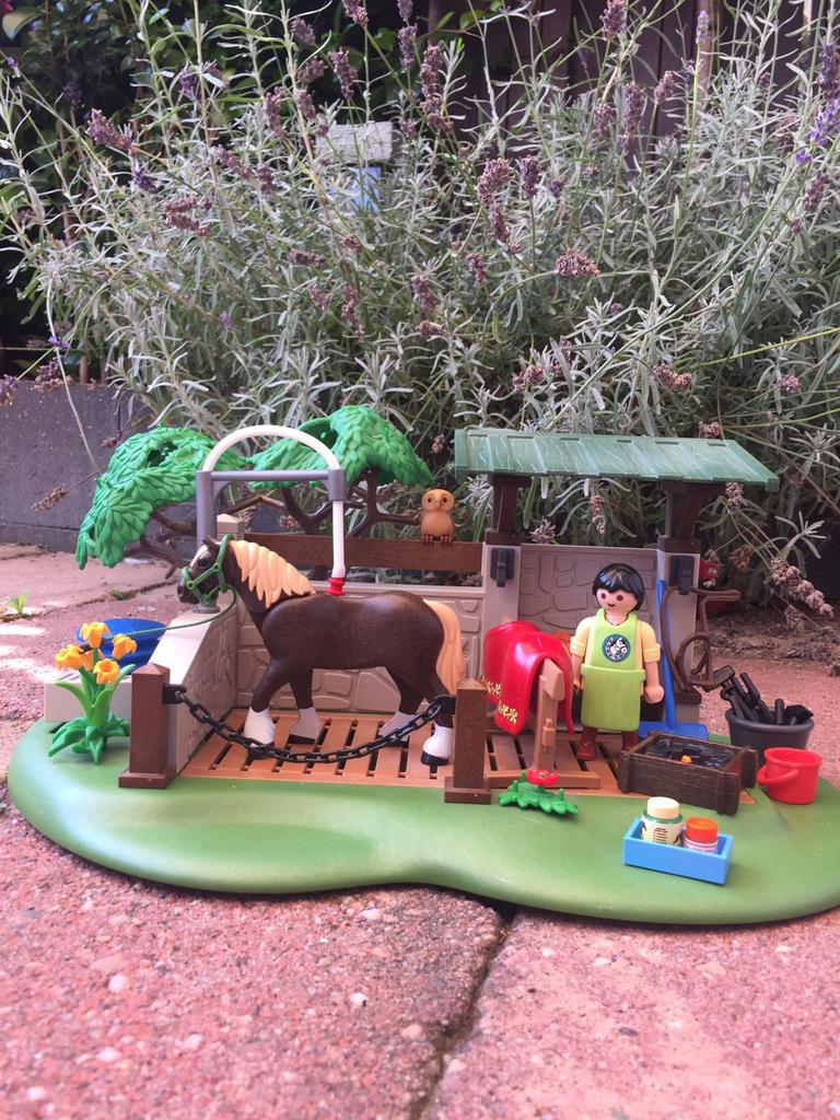 Playmobil verzorgingsplaats met waterpomp 5225, Kinderen en Baby's, Speelgoed | Playmobil, Ophalen, Zo goed als nieuw