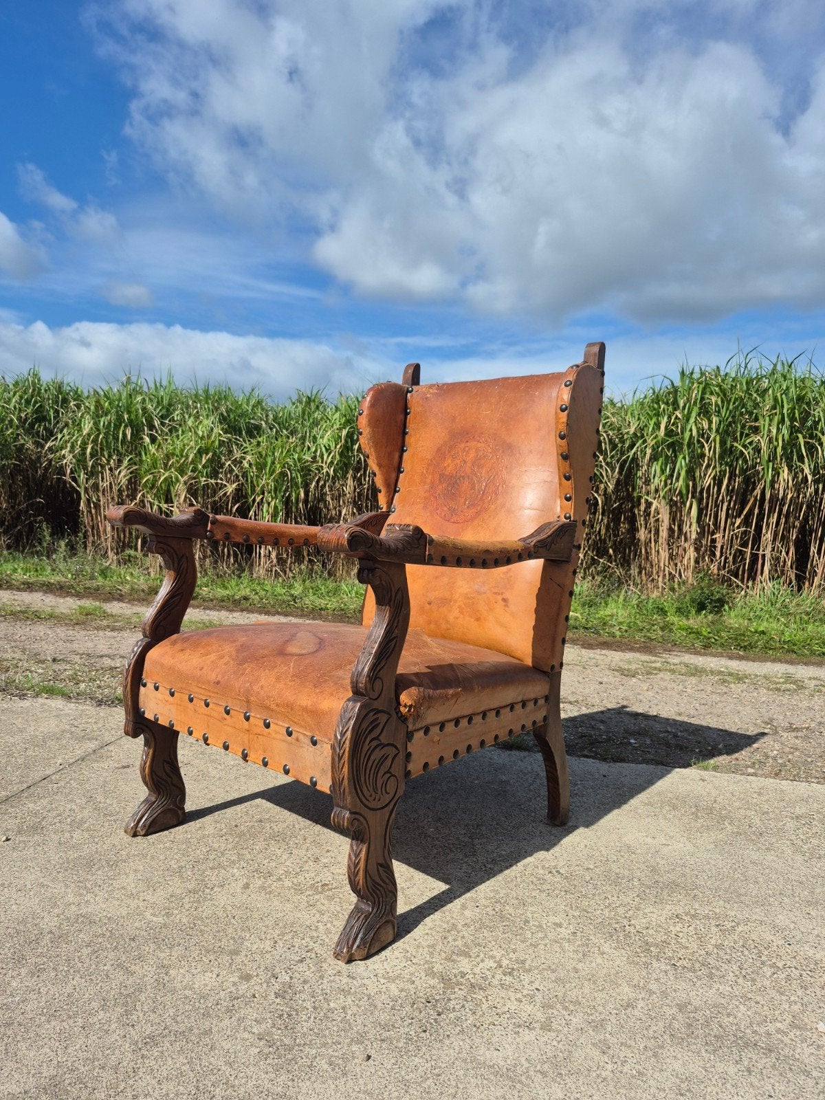 Antieke lederen kasteelstoel , troonfauteuil, troonstoel (4), Ophalen