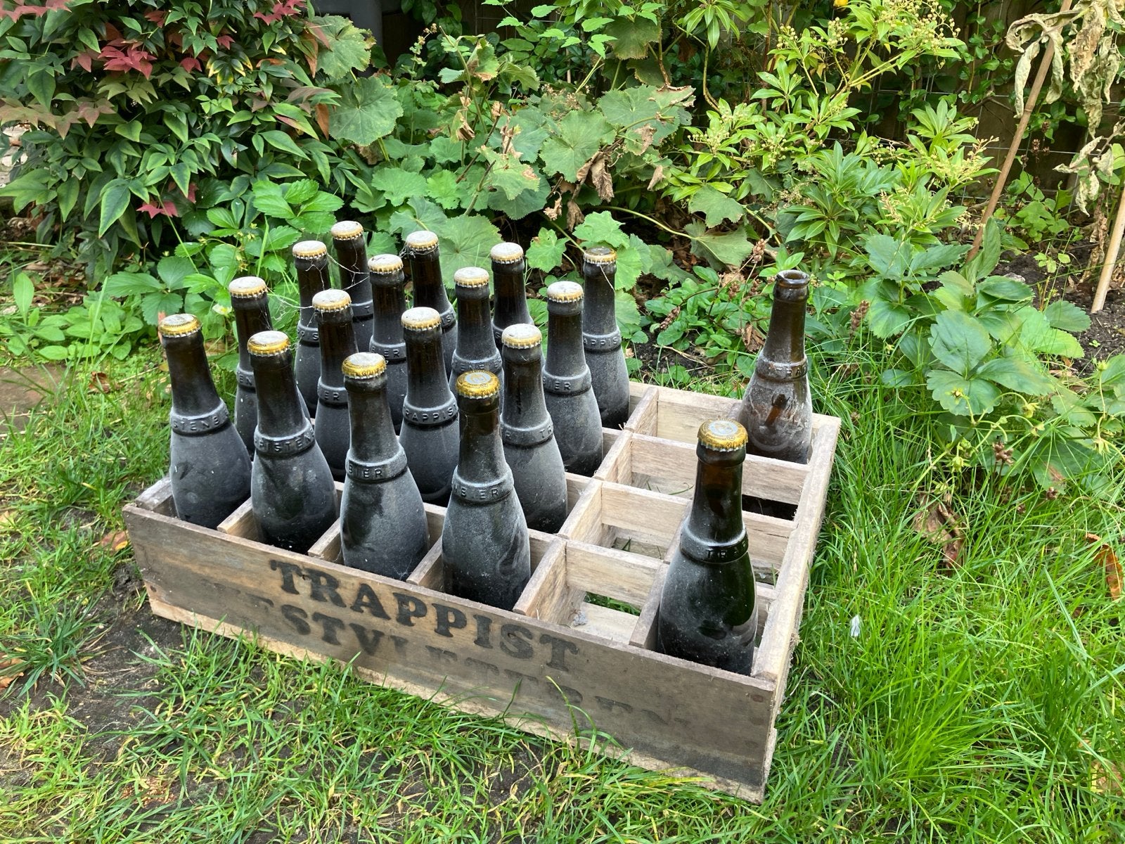 Keldervondst: Oude Trappist Westvleteren 12, Ophalen, Flesje(s), Overige merken