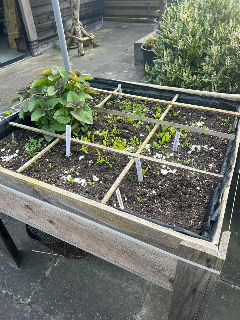 Kweektafel kweekbak op poten moestuin, Ophalen, Zo goed als nieuw, Kweeklamp