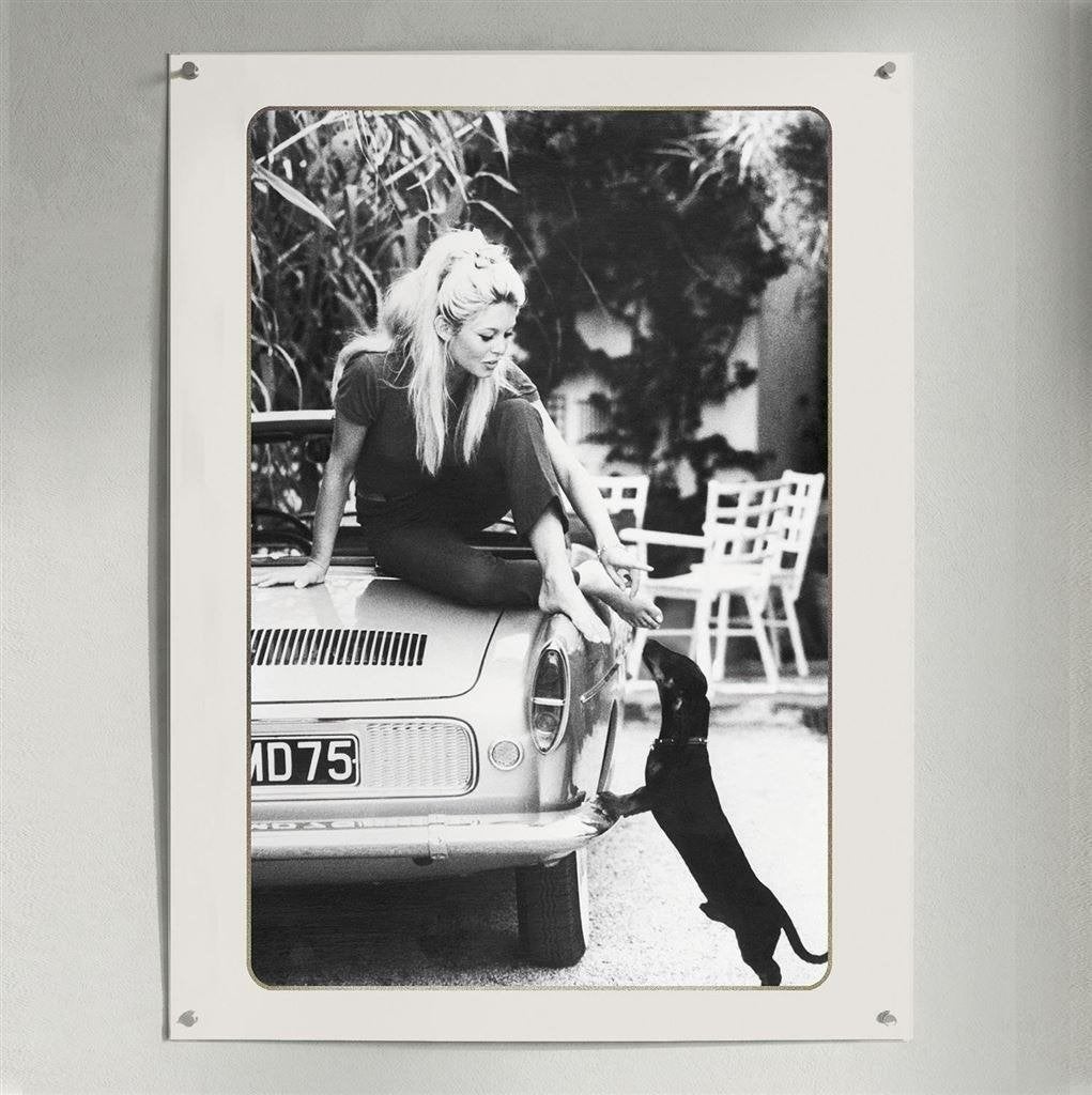 Brigitte Bardot Teckel Dachshund kunst print | poster, Verzenden