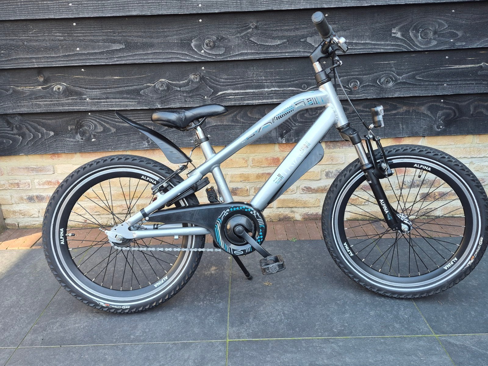 Alpina Trial 20 inch kinderfiets - Rijklare staat, Ophalen of Verzenden, Gebruikt, 20 inch of meer, Alpina