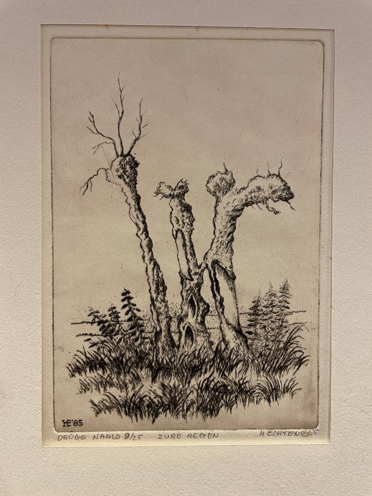 Echten, H. van - Zure regen(knotwilgen) ets droge naald 9/25, 25 cm, Ophalen of Verzenden, 20 cm, 1950 - 1999