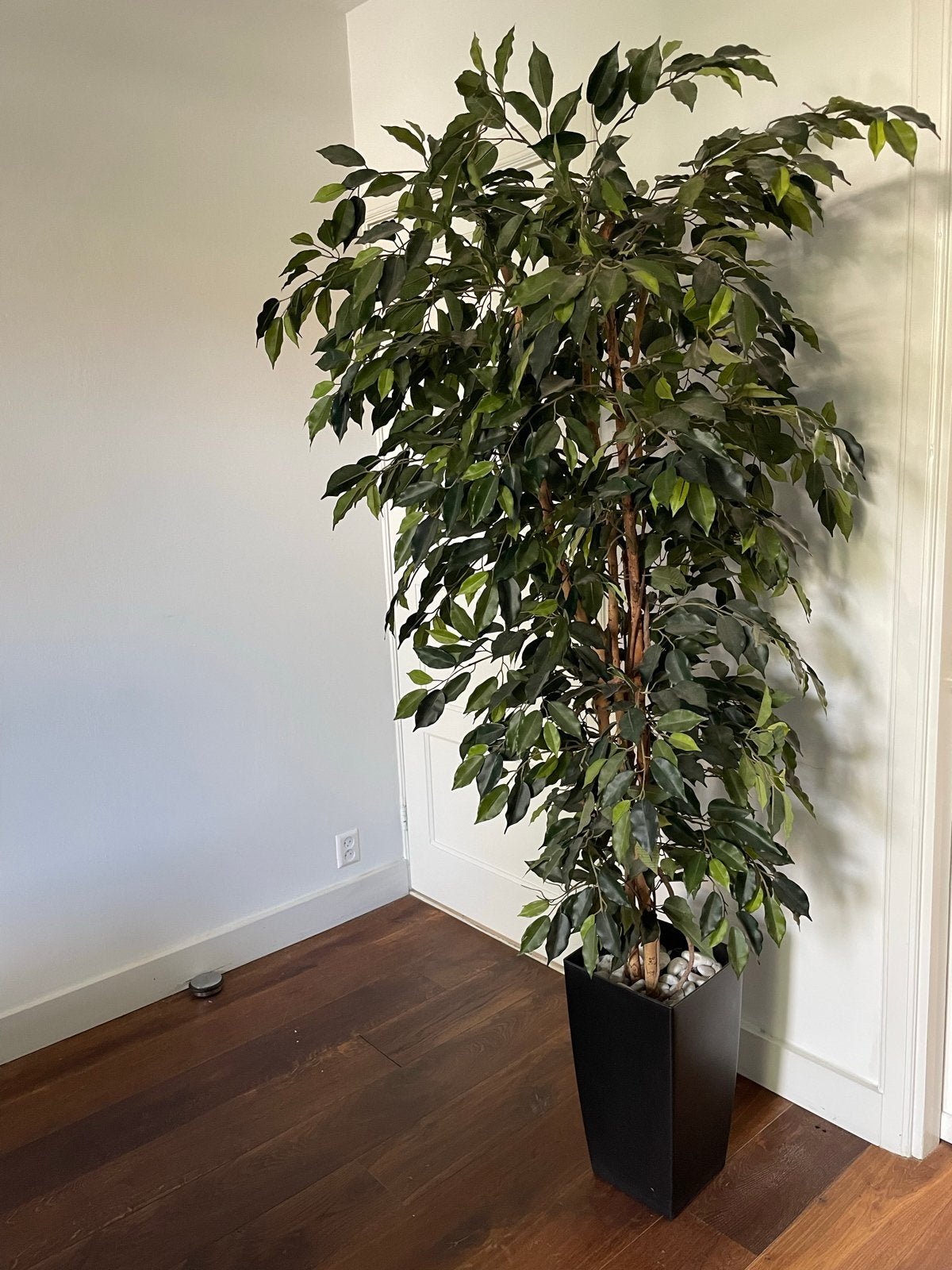 Grote kunstplant met pot - Ficus boom, Huis en Inrichting, Ophalen, Binnen, Groen, Kunstplant