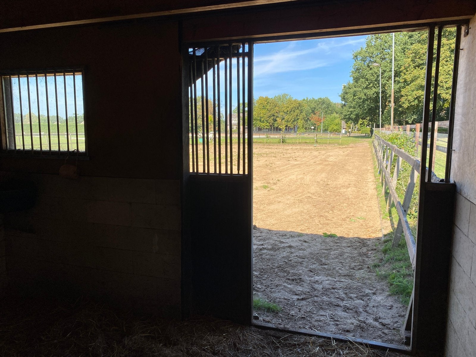 Pensionstalling met weidegang in Putten (Veenhuizerveld), Weidegang, 1 paard of pony