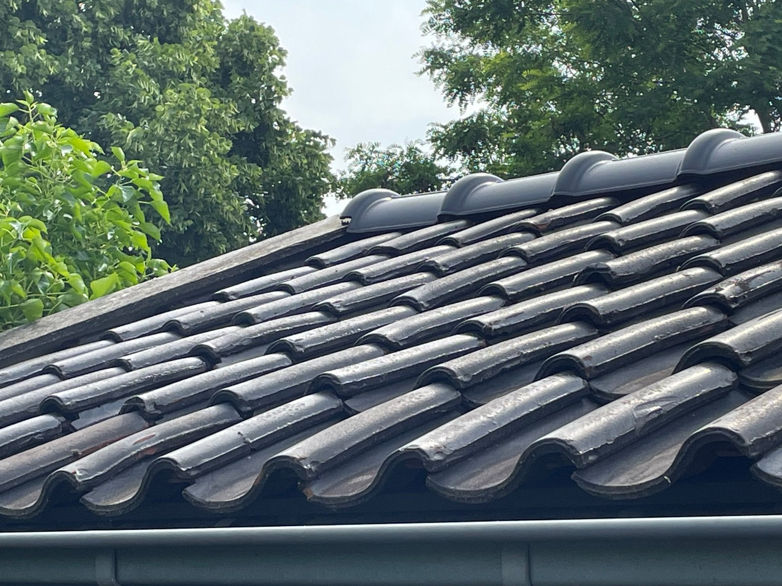 Dakpannen, Doe-het-zelf en Verbouw, Dakpannen en Dakbedekking, Ophalen, Steen of Klei, Zo goed als nieuw, 15 m² of meer