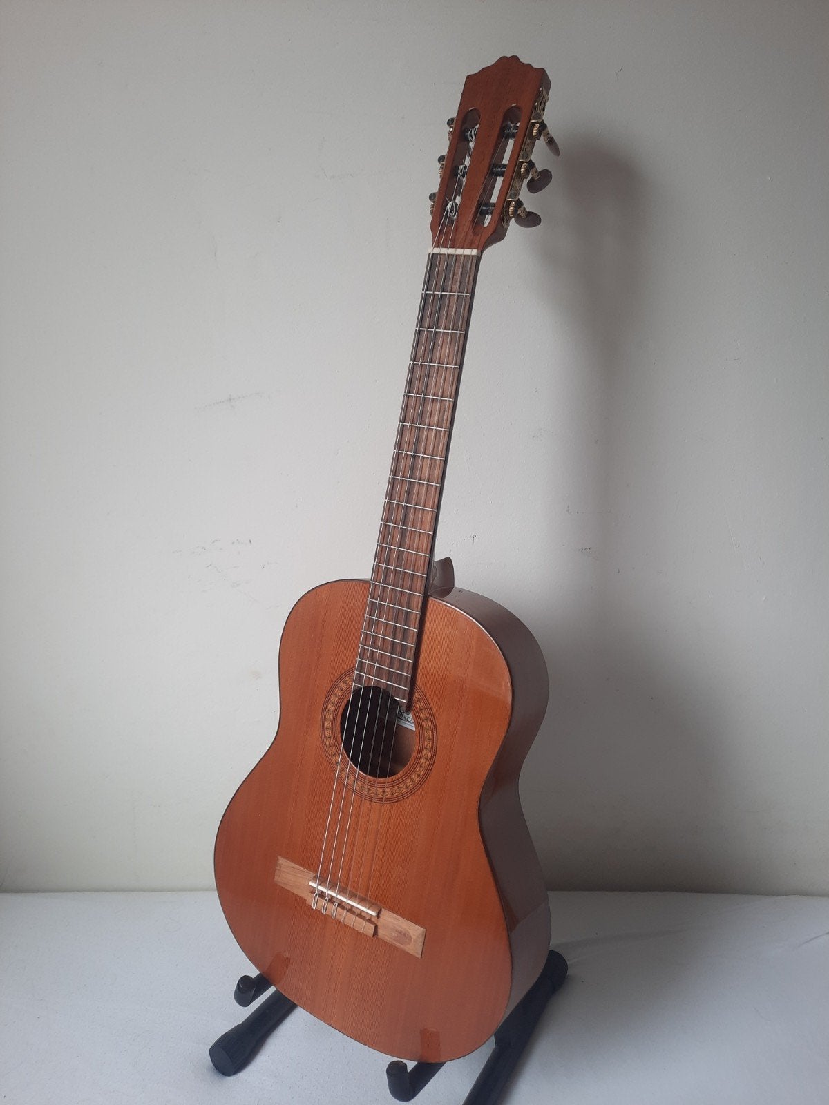 Salvador Cortez CC22JR kindergitaar voor kind 7/12 jr Nw.249, Muziek en Instrumenten, Ophalen of Verzenden, Zo goed als nieuw