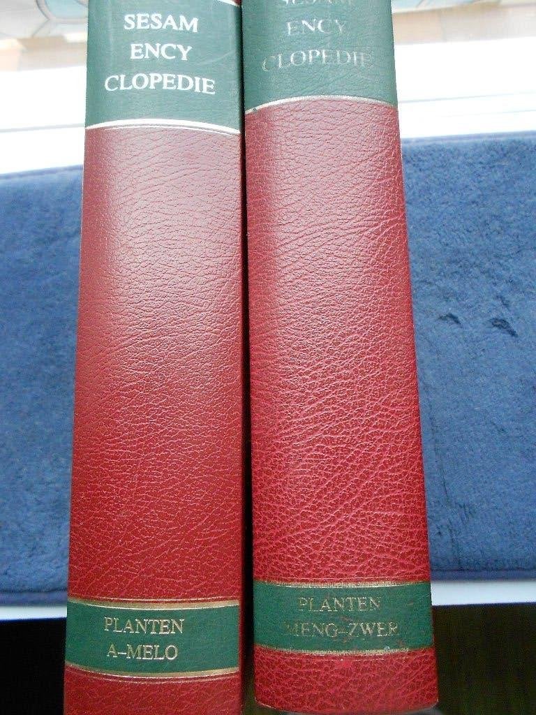 Sesam encyclopedie tuin en kamerplanten 1981, Ophalen, Gelezen, Kamerplanten