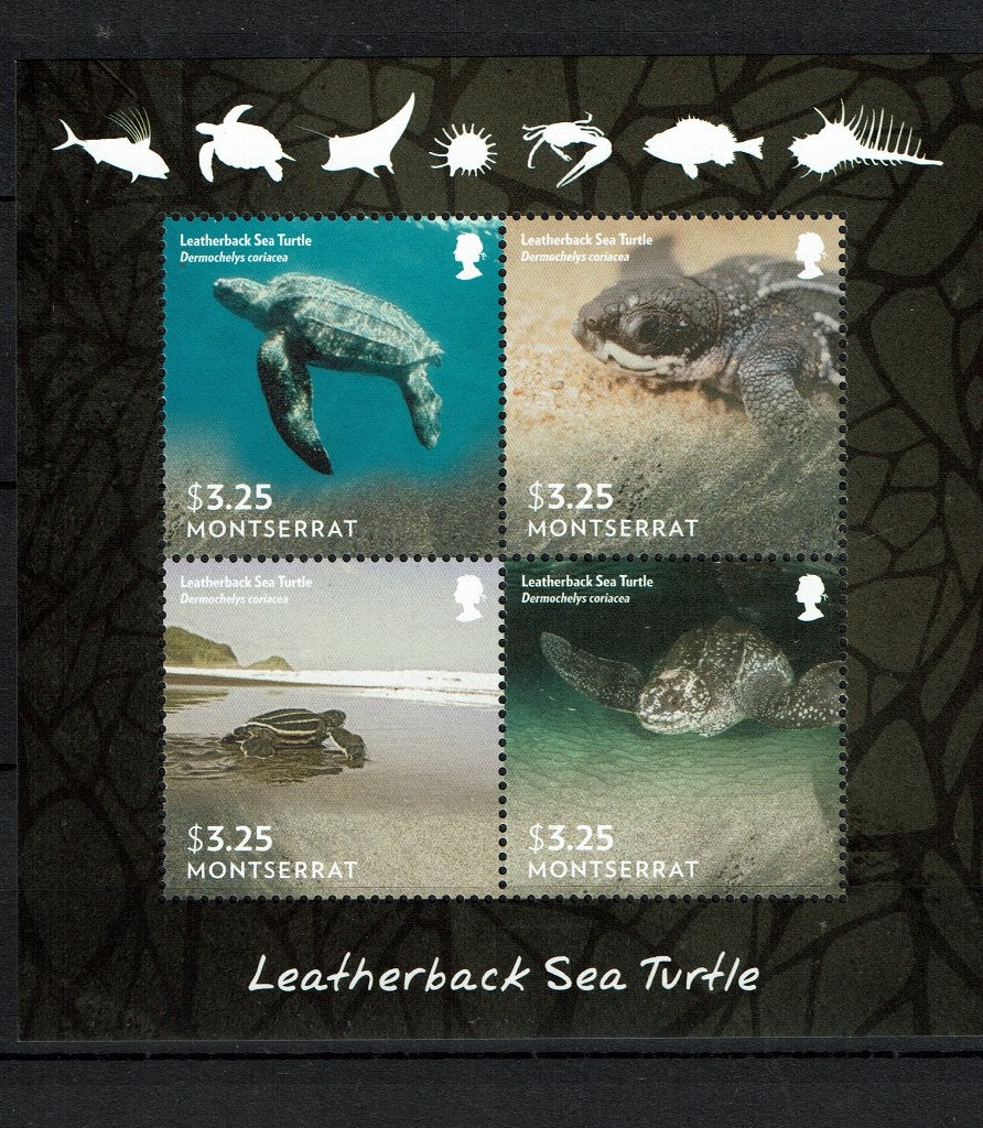 MONTSERAT 2015 PF BLOK SCHILDPADDEN REPTIELEN TURTLES 1, Ophalen of Verzenden, Postfris, Dier of Natuur