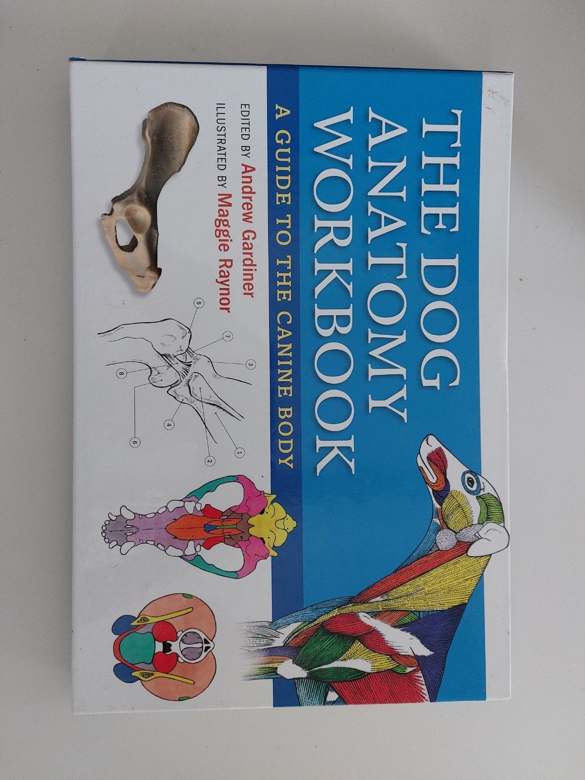 The dog anatomy workbook, Andrew gardiner, Zo goed als nieuw, Beta, HBO