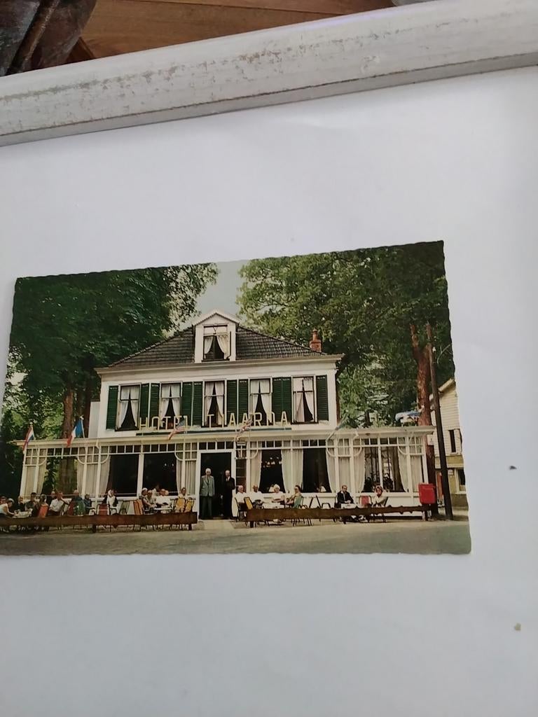 ORANJEWOUD. HOTEL. TJAARDA, Verzamelen, Ophalen of Verzenden, Voor 1920, Gelderland