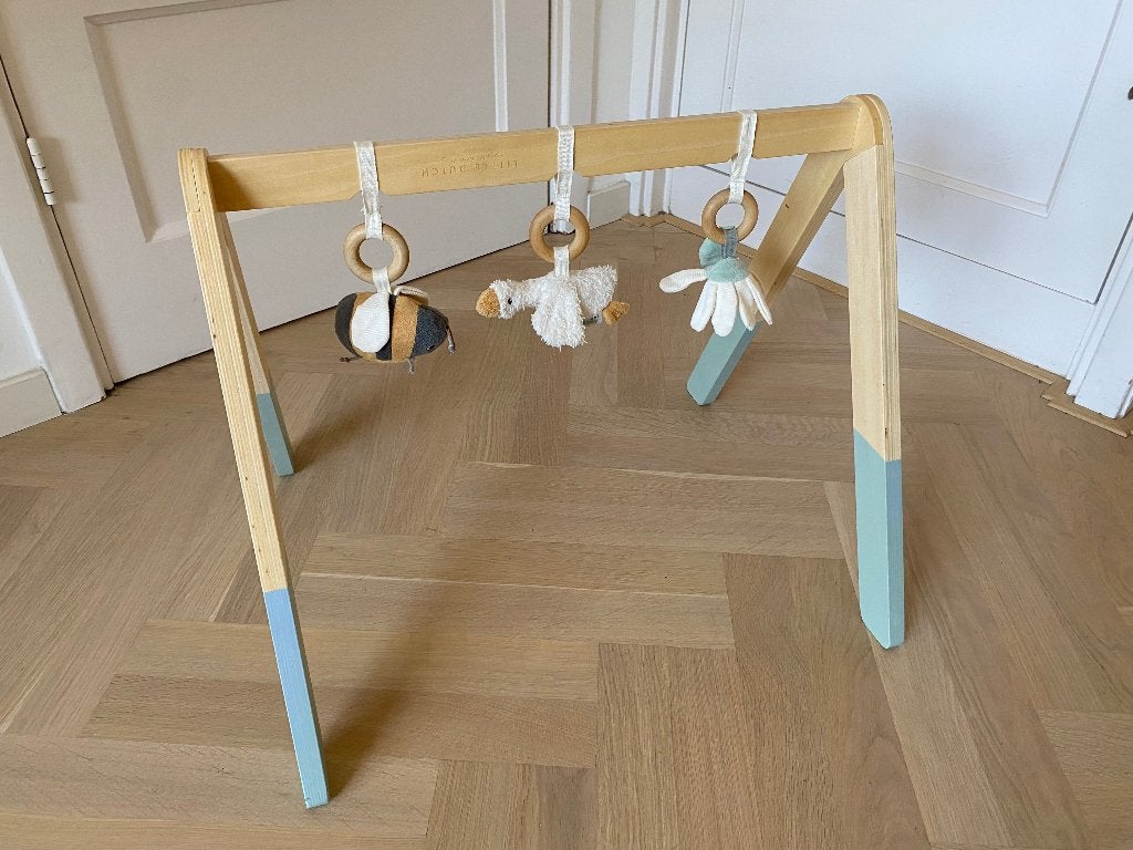 Little Goose Baby Gym van Little Dutch, Ophalen of Verzenden, Gebruikt, Babygym