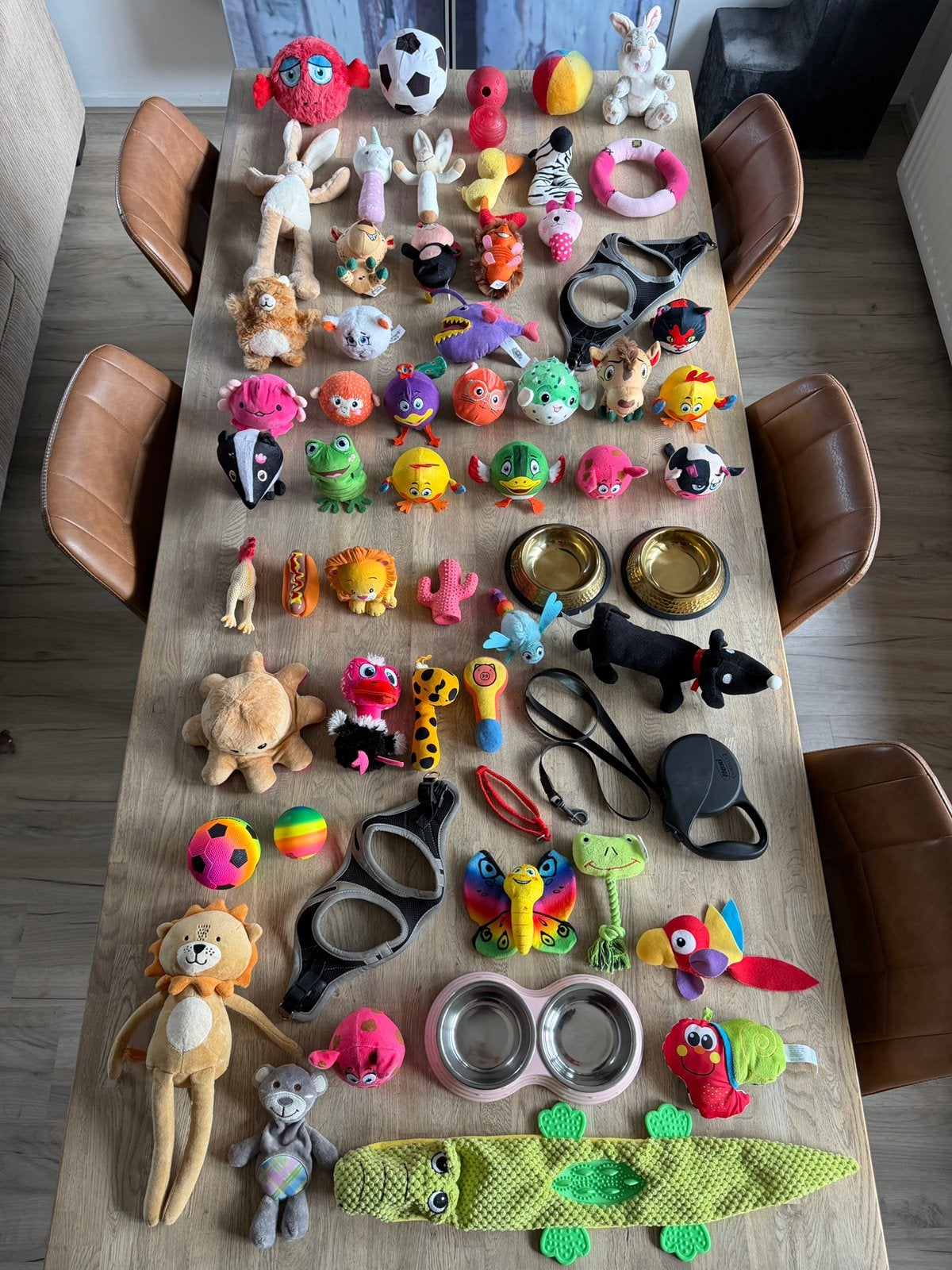 Groot pakket (60 delig) honden-accessoires, Dieren en Toebehoren, Ophalen of Verzenden, Zo goed als nieuw, Hondenspeelgoed