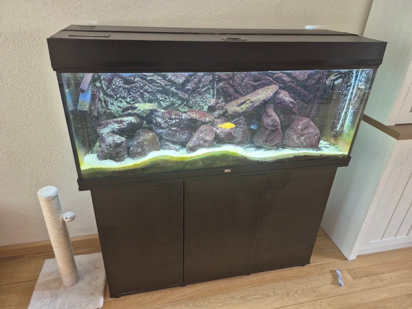 Juwel Rio 240 - Led (zonder pomp), Dieren en Toebehoren, Ophalen, Gebruikt, Leeg aquarium, Verwarming