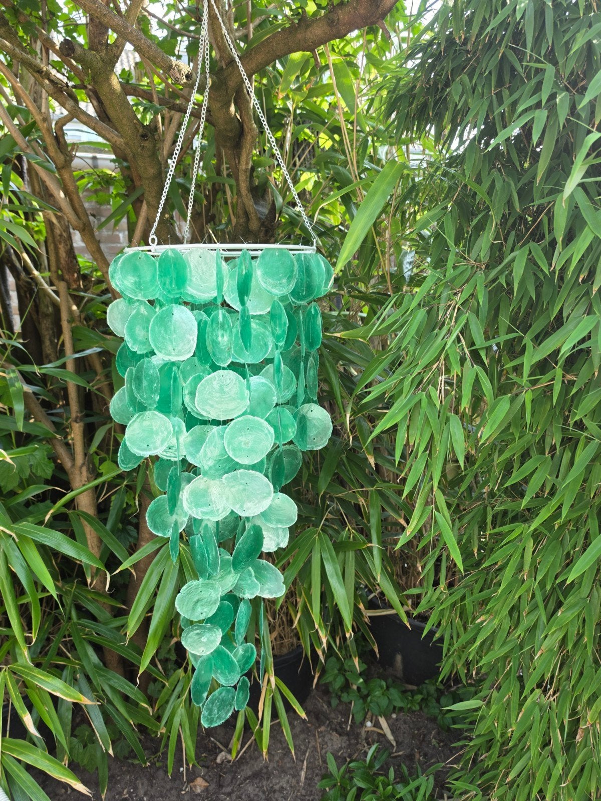 Schelpen kroonluchter groen 1 meter, Ophalen of Verzenden, Volle zon