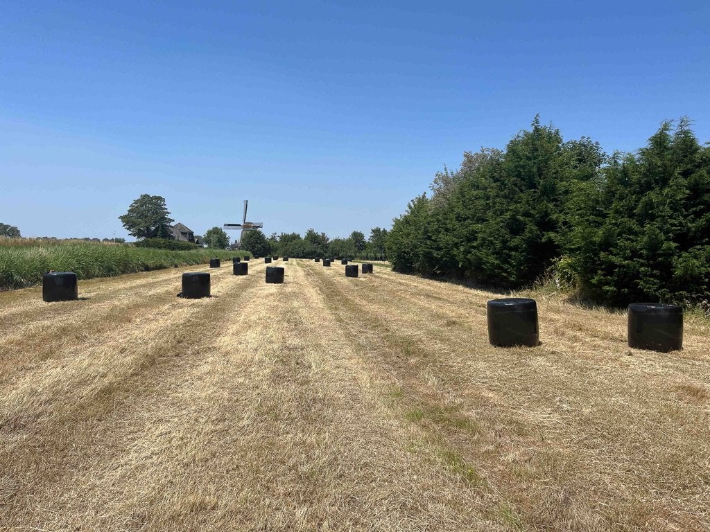 15 midi kuilbalen (droog, biologisch, kruiskruidvrij hooi), Ophalen, Vee