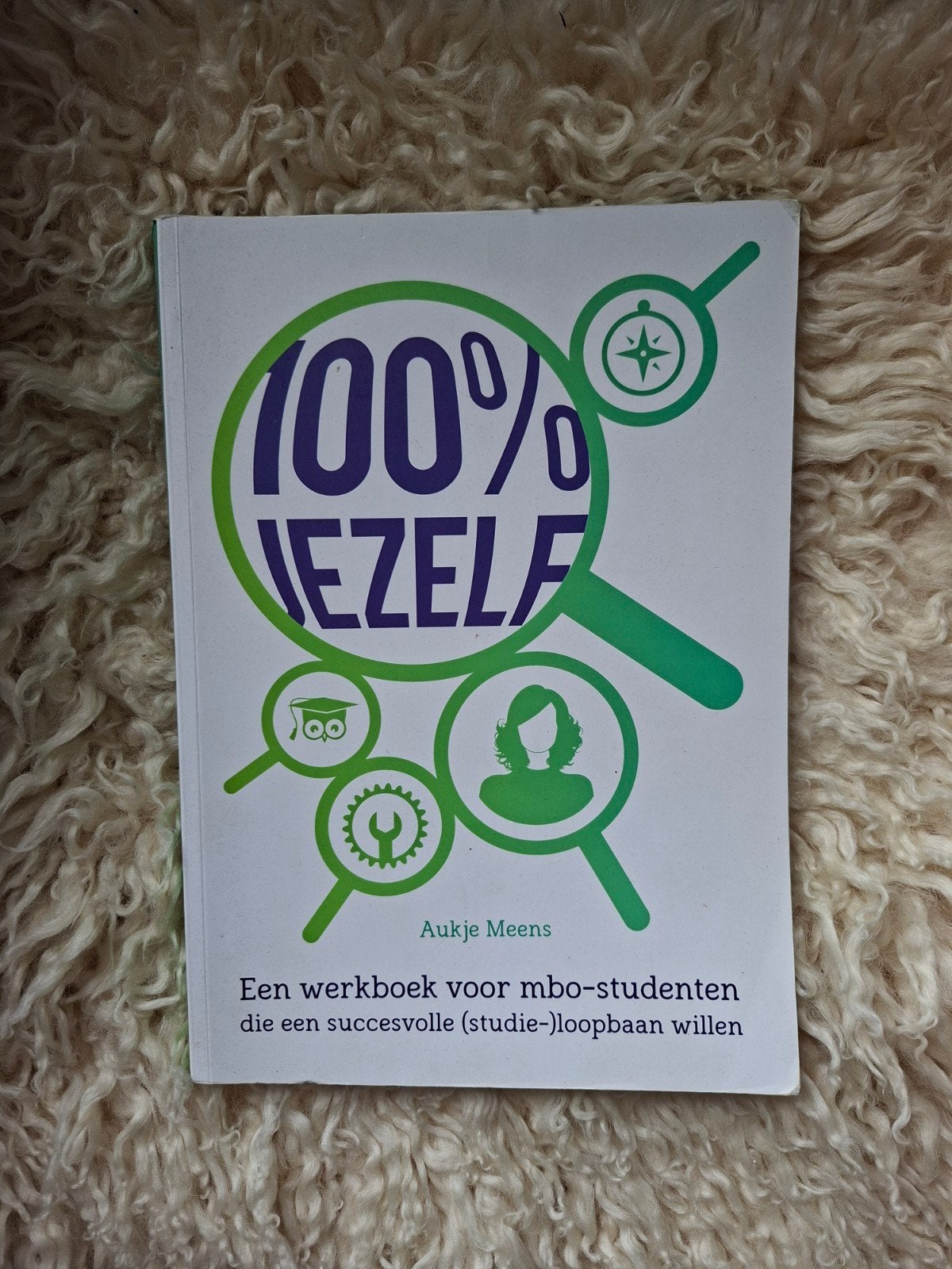 100% Jezelf - Werkboek voor mbo-studenten (Aukje Meens), Ophalen, Zo goed als nieuw, MBO, Aukje Meens