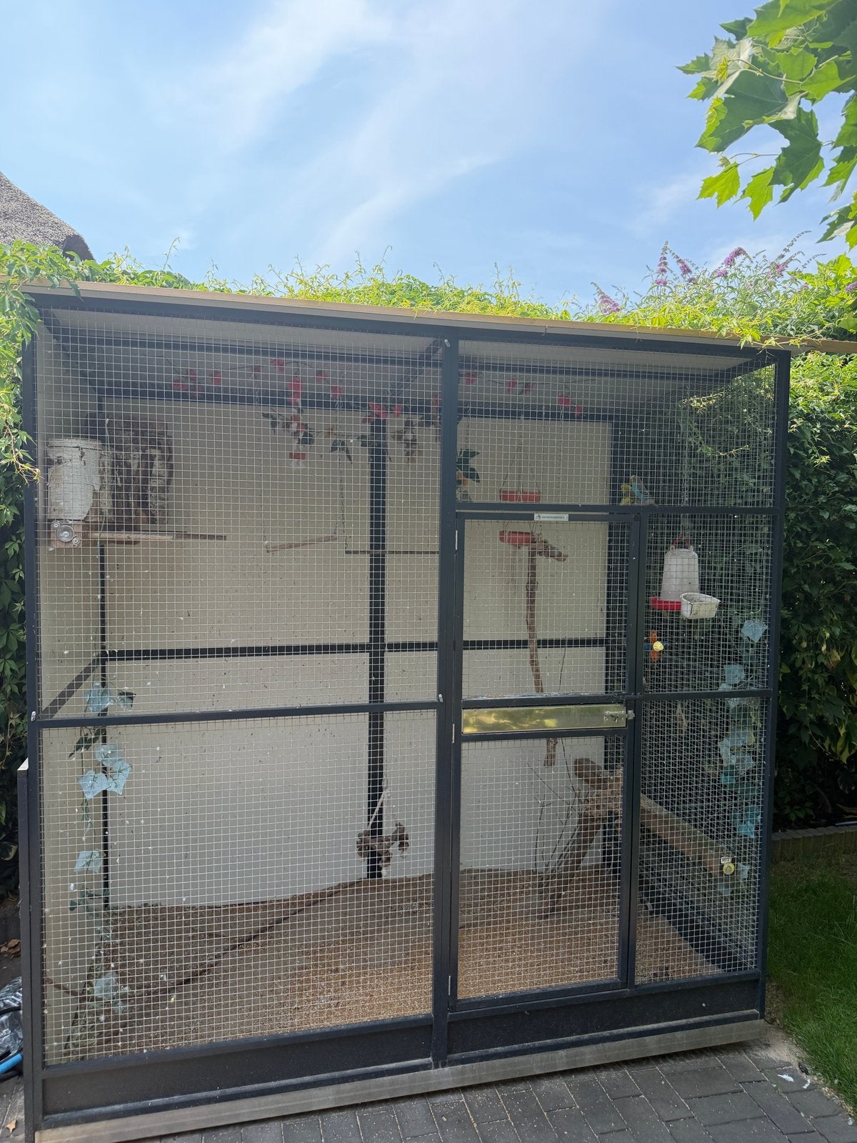Complete volière inclusief accessoires – Zo goed als nieuw, Dieren en Toebehoren, Vogels | Hokken en Kooien, Ophalen, Zo goed als nieuw