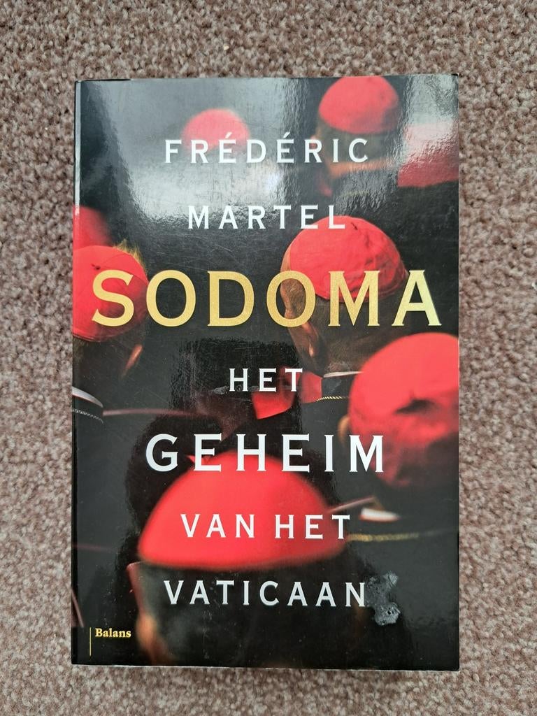 Sodoma: Het Geheim van het Vaticaan - Frédéric Martel, Boeken, Ophalen, Zo goed als nieuw, Frédéric Martel, Christendom | Katholiek