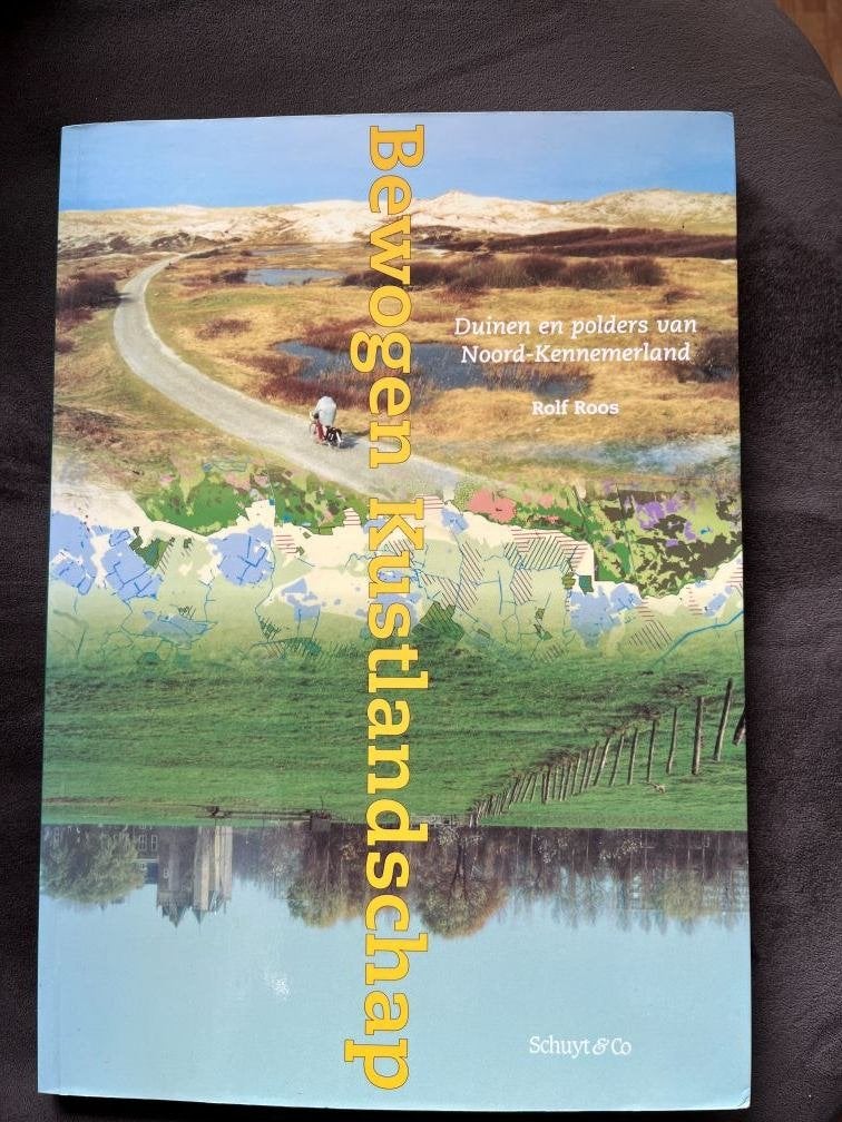 Bewogen Kustlandschap, Ophalen of Verzenden, Zo goed als nieuw, Natuur algemeen