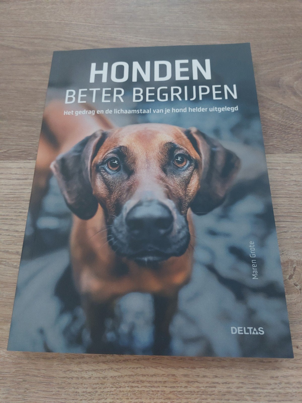 Honden Beter Begrijpen - Maren Grote, Ophalen of Verzenden, Nieuw, Honden, Maren Grote