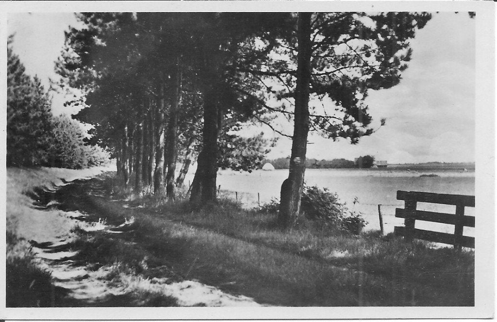 Oude ansichtkaart Texel, Den Burg, 1951, Ophalen of Verzenden, 1940 tot 1960, Gelopen, Waddeneilanden