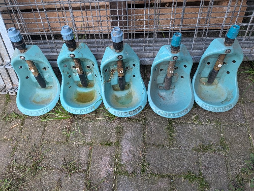 Suevia 370 staafnippel drinkbakken, Meerdere dieren, Schaap