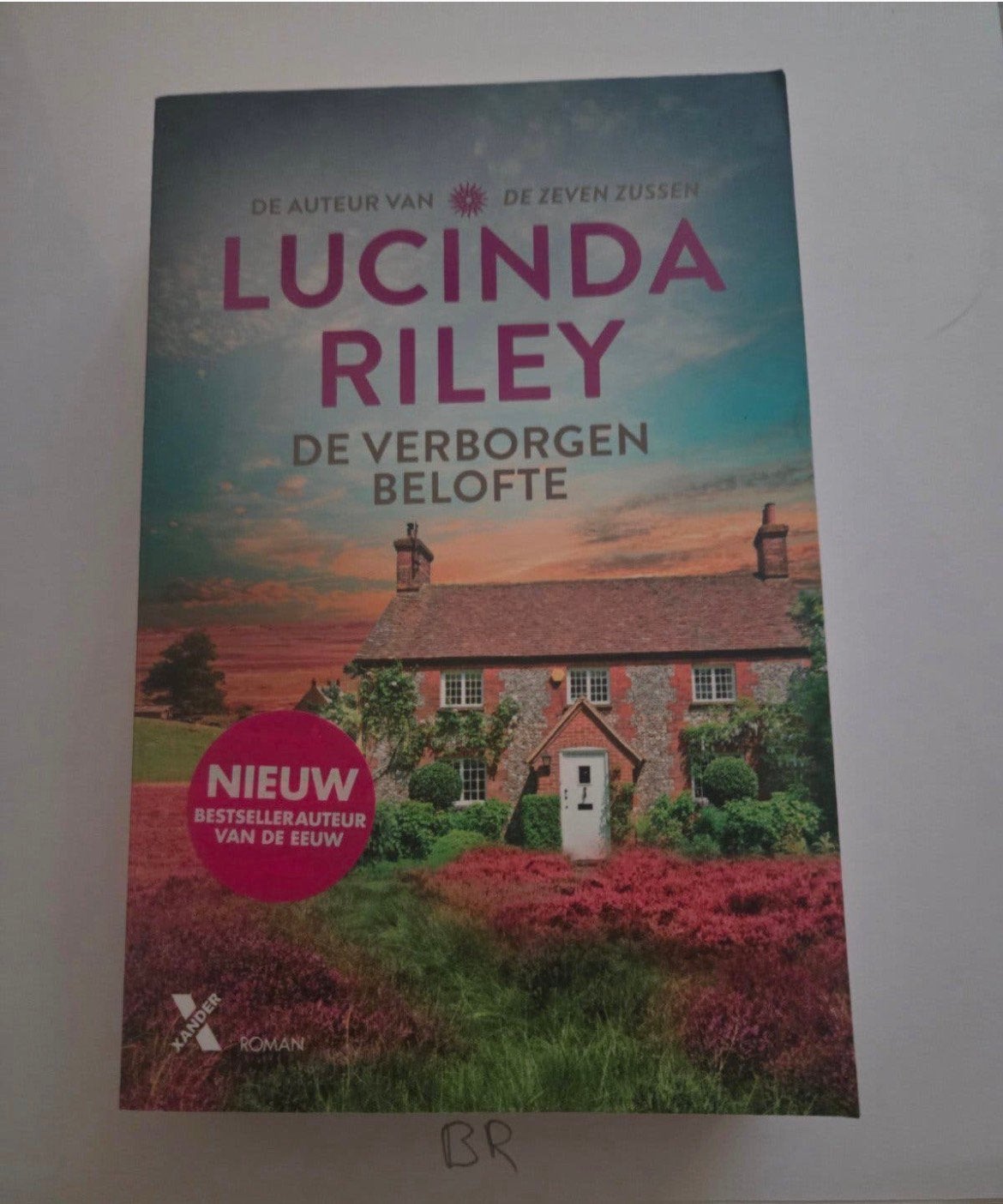 Lucinda Riley - De Verborgen Belofte, Ophalen of Verzenden, Gelezen, Lucinda Riley