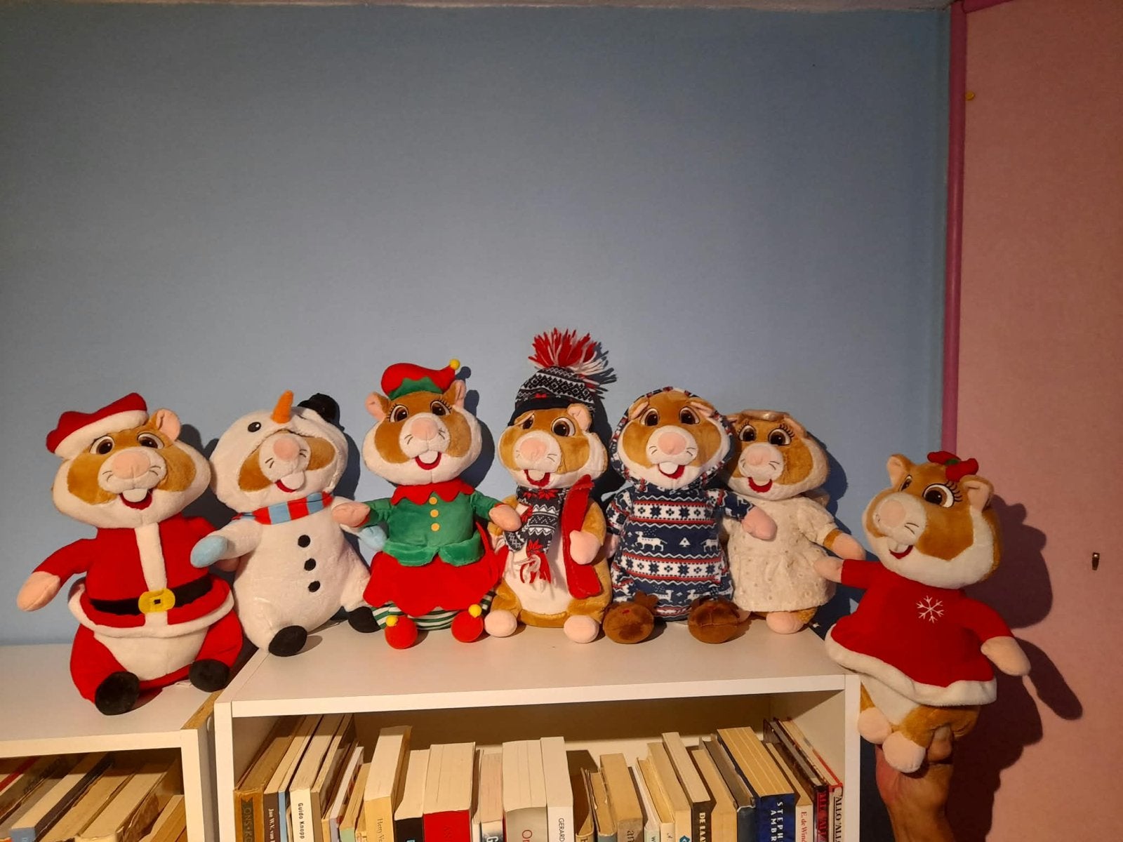 AH hamsters, Hamster, Ophalen of Verzenden, Zo goed als nieuw, Middelgroot (20 tot 80 cm)