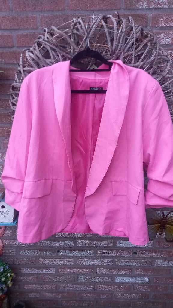 Dames blazer, Maat 42/44 (L), Nieuw, Ophalen of Verzenden, Jasje
