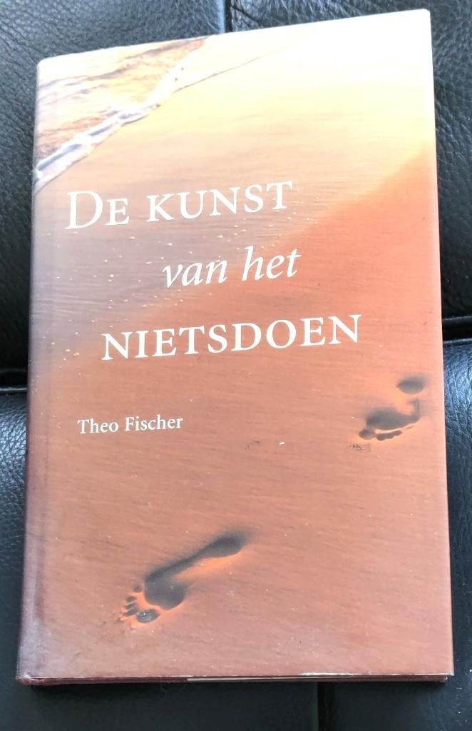De kunst van het nietsdoen van Theo Fischer, Ophalen of Verzenden, Zo goed als nieuw