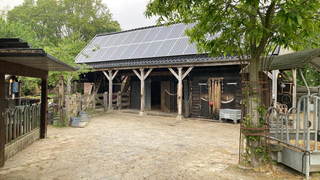 Hulp gezocht voor de verzorging van paarden