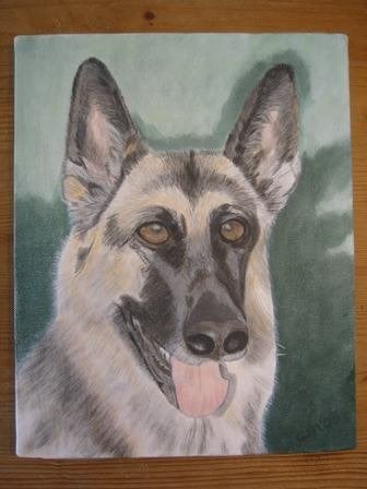Handgeschilderd: Herdershond 24 x 30 cm, Ophalen, Minder dan 50 cm, Oorspronkelijke maker, Nieuw