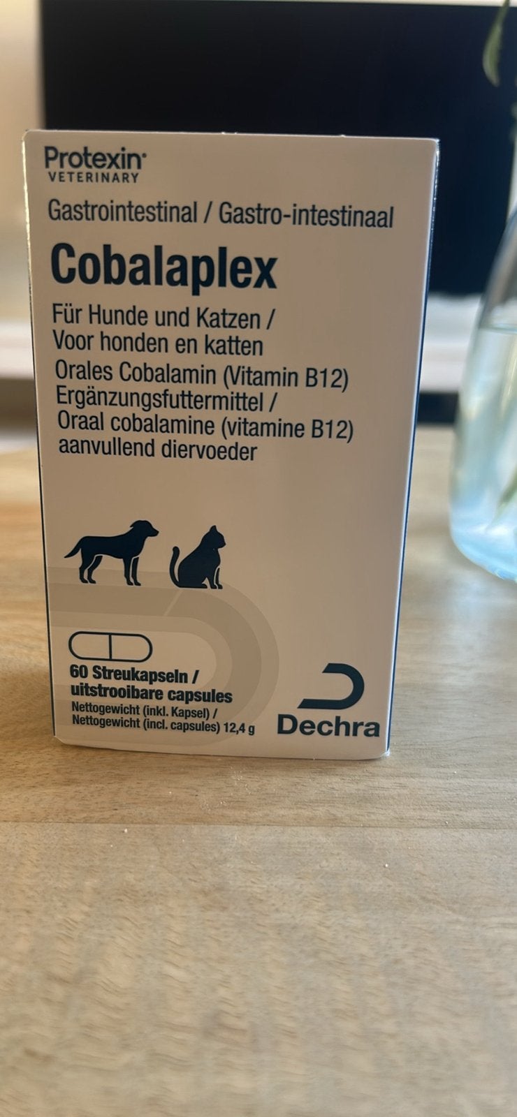 Cobalaplex vitamine b12 capsules voor hond en kat, Dieren en Toebehoren, Dierenvoeding, Ophalen of Verzenden, Hond