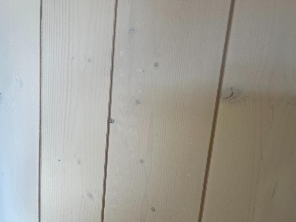 Wit behandelde vuren planken voor plafond of wand 13x135x250, Ophalen of Verzenden, 75 m² of meer, Wit