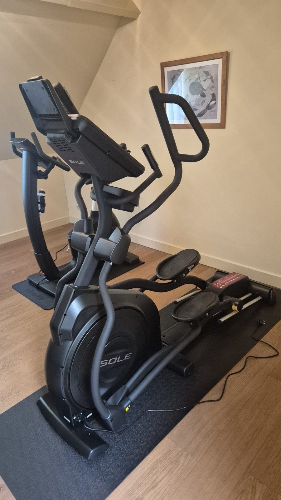 Sole E95 Crosstrainer - Zo goed als nieuw, Ophalen, Benen, Zo goed als nieuw, Crosstrainer