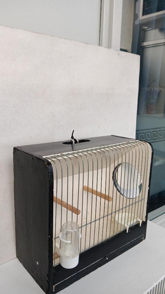 TT Kooi, Ophalen, Zo goed als nieuw, Hout, Vogelkooi