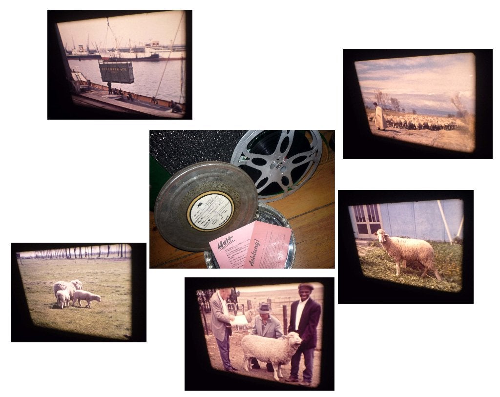 16mm film  =  Schapenhouderij - duitse doc- 20min - kleur -, Ophalen of Verzenden, 16mm film