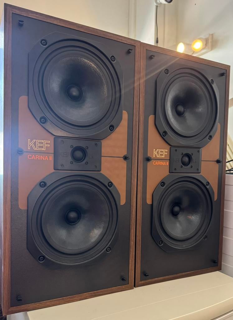 Set KEV Carina II type SP 3017 speakers izgs, ., Zo goed als nieuw, ., Minder dan 60 watt