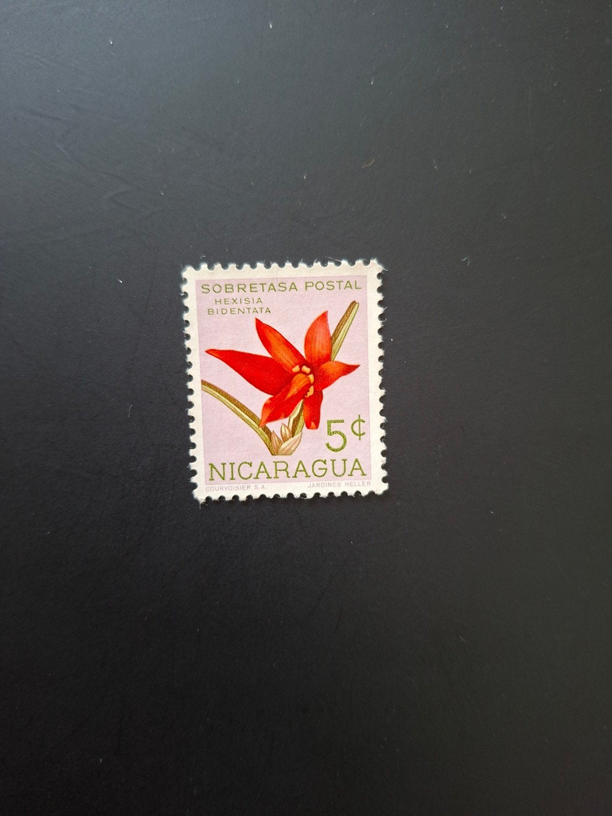 Nicaragua.  Bloemen., Ophalen of Verzenden, Dier of Natuur