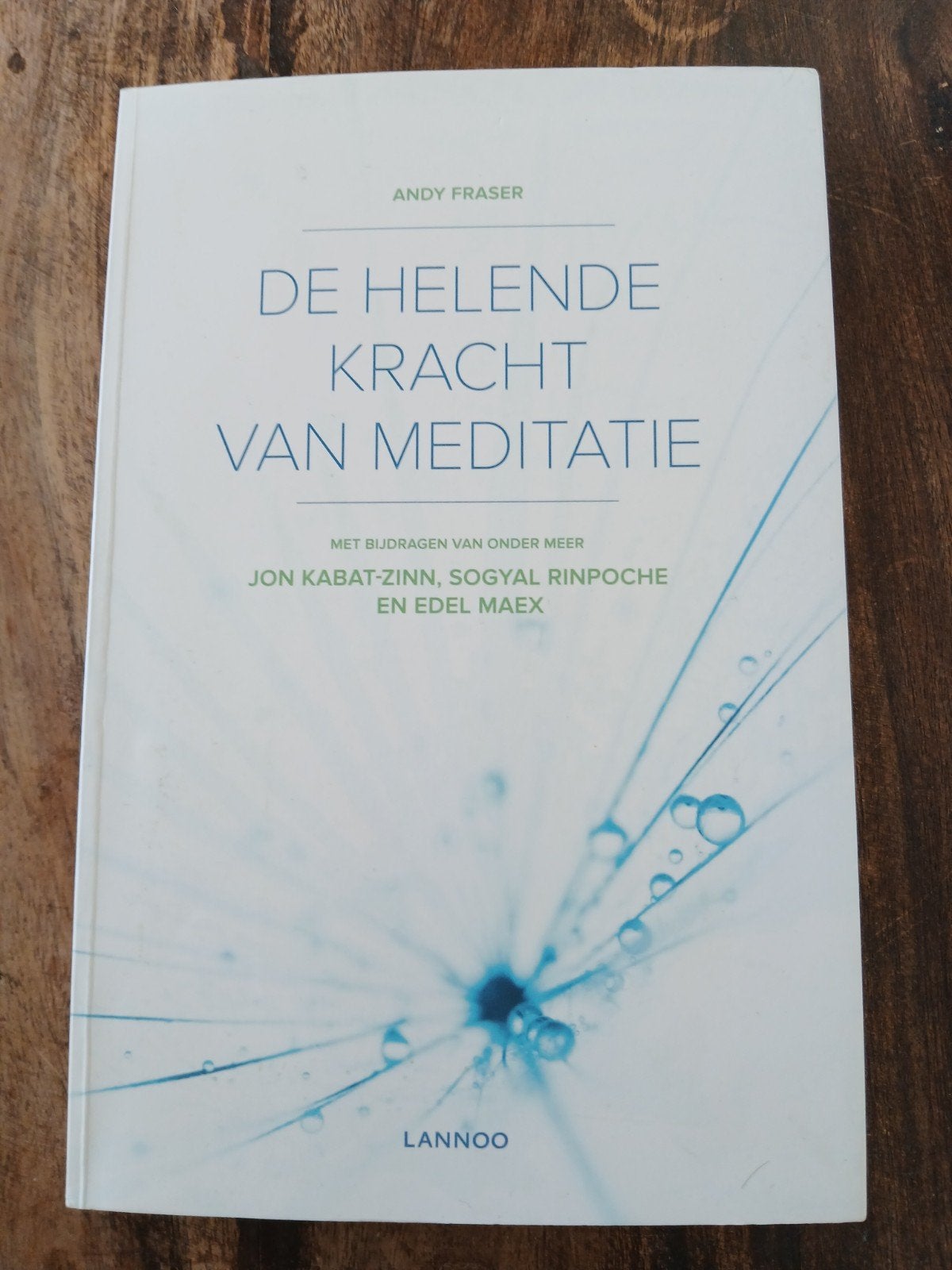 De helende kracht van meditatie, Ophalen of Verzenden, Zo goed als nieuw, Meditatie of Yoga, Instructieboek
