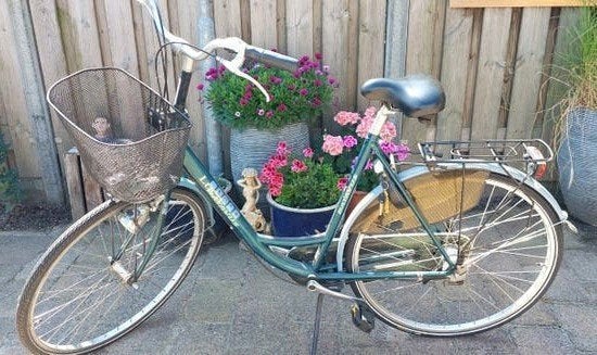 Damesfiets Batavus Luca, Ophalen, Gebruikt, Batavus, Versnellingen