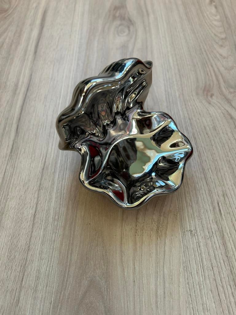 Nieuwe Schelp Decoratie - Modern & Glanzend, Overige materialen, Nieuw, Ophalen of Verzenden, Modern