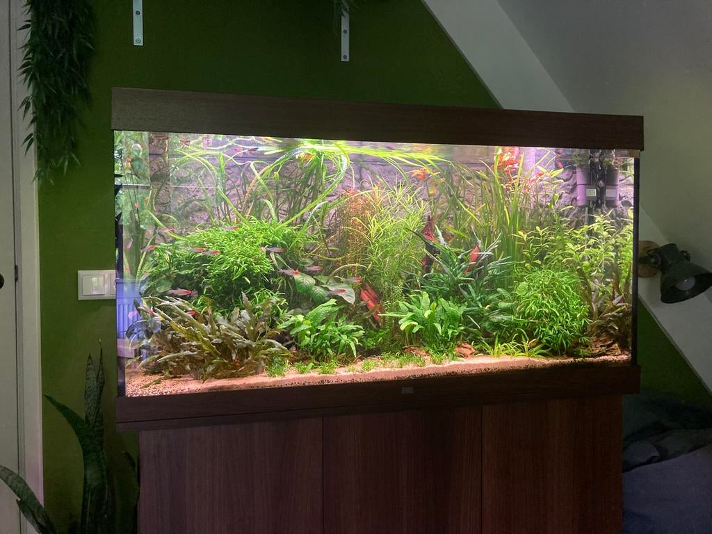 Juwel Rio 350 Aquarium, Dieren en Toebehoren, Vissen | Aquaria en Toebehoren, Ophalen, Zo goed als nieuw, Juwel